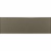 Msi Metallic Gray SAMPLE Glossy Glass Subway Tile ZOR-MD-T-0136-SAM